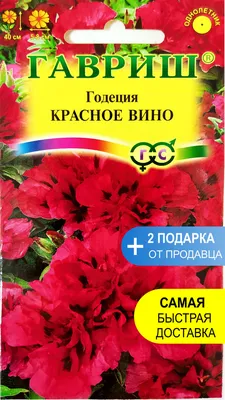 Годеция Проверенные семена Вино2 - купить по выгодным ценам в  интернет-магазине OZON (254714080)