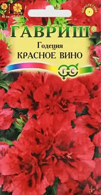 Семена Годеция Красное вино,махровая купить с доставкой в МЕГАСТРОЙ  Йошкар-Ола