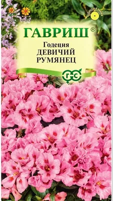 Купить семена Годеция Гофре махровая смесь 0,3 г по лучшей цене с доставкой  по Москве и РФ