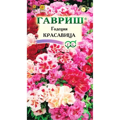 Семена Годеция \"Красное вино\" купить по цене 65 ₽ в интернет-магазине  KazanExpress