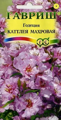 Характеристики модели Семена цветов Годеция махровая \"Красное вино\", 0,05 г  — Семена овощей, ягод и цветов — Яндекс Маркет