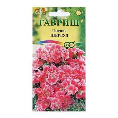 Годеция Розовый закат крупноцветковая 0,1 гр. купить оптом в Томске по цене  16,62 руб.