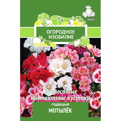 Купить семена годеции с доставкой курьером и почтой в интернет-магазине  Semena.ru