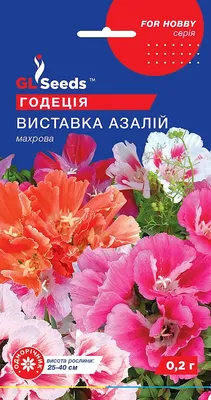 Семена Годеция «Стрекоза» по цене 15 ₽/шт. купить в Новокузнецке в  интернет-магазине Леруа Мерлен