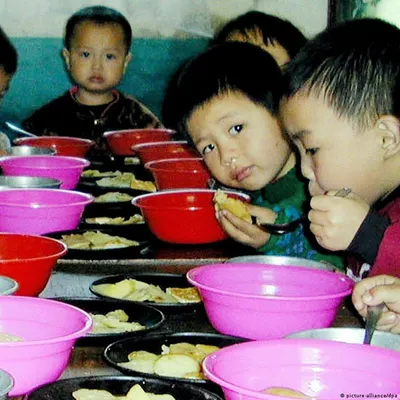 Голод в Северной Корее: как живет самая тоталитарная экономика мира :: РБК  Pro