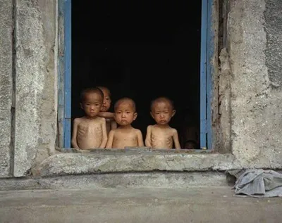 ООН: Голод в Северной Корее может привести к гибели людей – DW – 13.10.2021