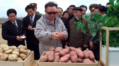 Умирают целыми семьями»: жители Северной Кореи в тайне от властей  рассказали о голоде