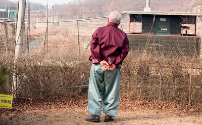 Казни, голод и насилие: правозащитники рассказали о жизни в северокорейских  тюрьмах