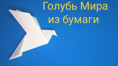Оригами голубь для детей: 2 простых способа пошагово