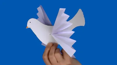 Оригами голубь пошаговый мастер-класс