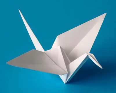 Оригами голубь пошаговый мастер-класс