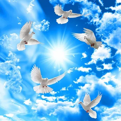 Пузыри и голуби в небе. стоковое фото. изображение насчитывающей природа -  193134630