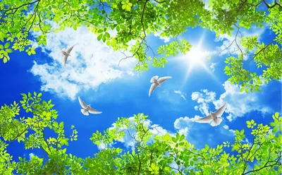 Голуби в небе (Много фото!) - treepics.ru