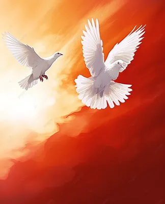 Белые птицы в синем небе - 73 фото