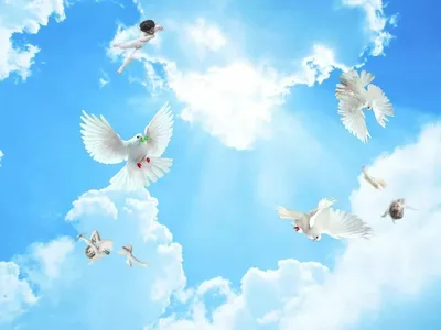 У стен музея в небо выпустят голубей | Победа РФ