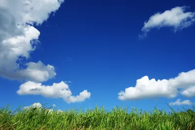 чистое голубое небо фон белые облака Обои Изображение для бесплатной  загрузки - Pngtree | Фоновые рисунки, Пейзажи, Голубые небеса