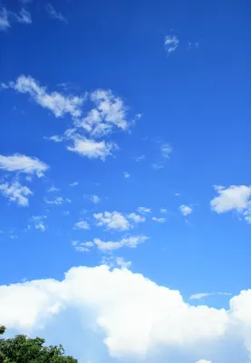 Hd обои голубое небо облака, облако, погода, Чисто фон картинки и Фото для  бесплатной загрузки