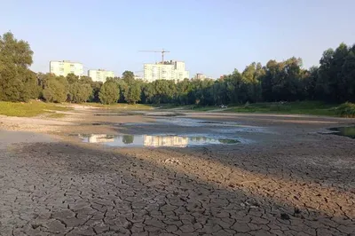 В Киеве на Виноградаре расчистят Голубое озеро