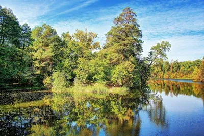Купить картину Озеро с голубой водой – Природа в Киеве, доступная цена в  Украине: фото, описание | Интернет-галерея «Print4you»
