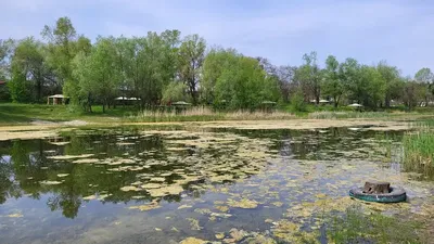 Природные объекты - «Голубое озеро в Подгорцах» - Обуховский район, с.  Подгорцы