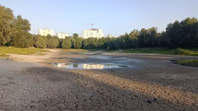 Застройщики уничтожают уникальное легендарное озеро в Киеве (ФОТО). Читайте  на UKR.NET