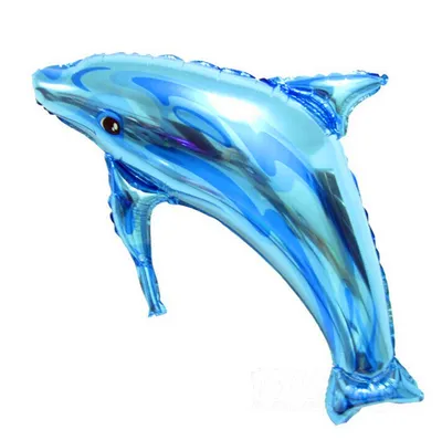 Декоративная цихлида голубой дельфин – отличный выбор для видового аквариума