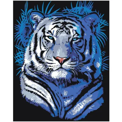 Тигр в голубых оттенках 80х100 Раскраска картина по номерам на холсте  A608-80x100 купить в Москве и СПб