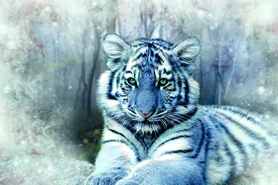 Голубой тигр на охоте, fantasy art…» — создано в Шедевруме