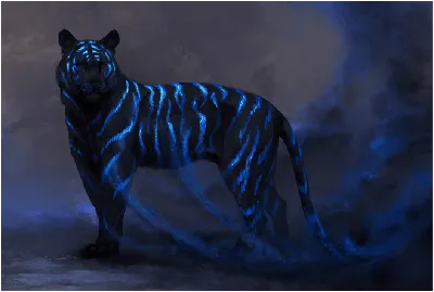 Анти-фейк - ⚠ Осторожно! Это фейк! / Caution! It's fake! ⚠ 🔴 Фейк: \"Голубой  мальтийский тигр. Очень редкий вид!\" 🔵 Правда: \"Легенды о тиграх с голубым  цветом шерсти ходят уже давно, но