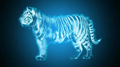 Голубой водяной тигр: что принесет ярославцам символ 2022 года | 24.12.21 |  Яркуб