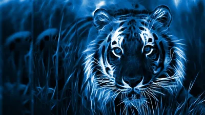 Голубой Тигр Новогодняя Композиция 2022 Рисунки Милого Рождественского  Рисунка Животным Стоковая иллюстрация ©AnnaSukhova #527132846