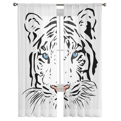 Белые Тигры — стоковые фотографии и другие картинки Голубой - Голубой, Тигр,  Альбинос - iStock
