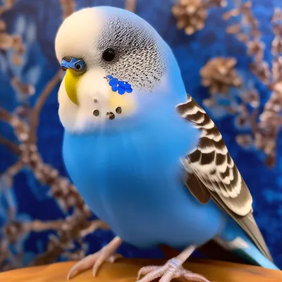 Голубой волнистый попугай с …» — создано в Шедевруме
