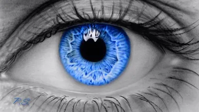 Голубые глаза - мутация или подарок свыше? | Вселенная Фактов | Дзен