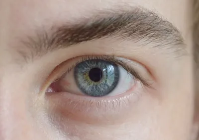 Большие голубые глаза, красивая кожа…» — создано в Шедевруме