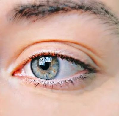 Макро Человеческие Голубые Глаза — стоковые фотографии и другие картинки Голубые  глаза - Голубые глаза, Радужная оболочка, Глаз - iStock