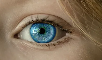 глаза #голубой #eyes #blue | Light blue eyes, Blue eyes aesthetic,  Aesthetic eyes