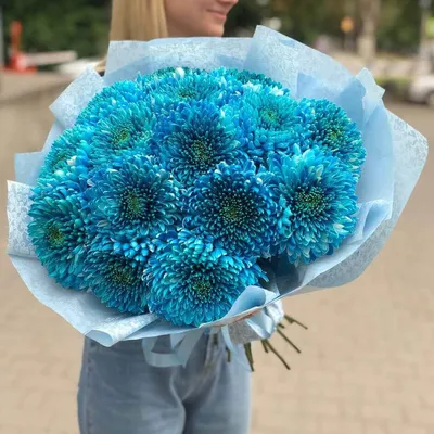 19 крупных голубых хризантем в букете за 12 890 руб. | Бесплатная доставка  цветов по Москве