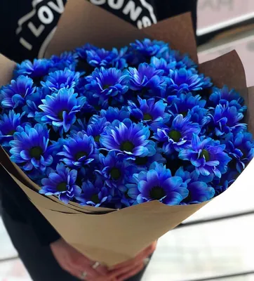 Букет голубых хризантем и розовых роз за 5470 ₽ с доставкой по Москве