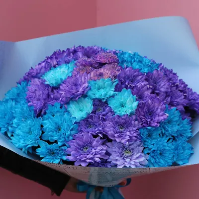 Букет из голубых хризантем - 80 фото