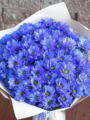 1️⃣ Букет из голубых хризантем – заказать в Алматы от PRO-BUKET!