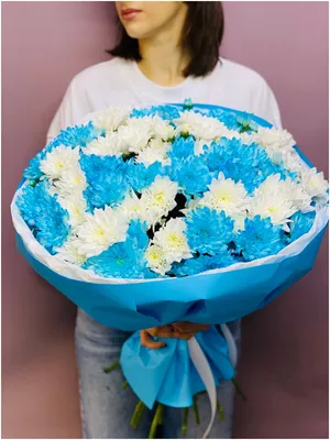 Заказать \"5 синие хризантемы\" | Цветули - уникальный сервис по доставке  цветов без накруток и посредников в городе Юрга