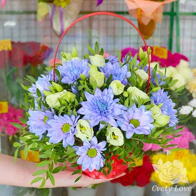 Купить голубые хризантемы и эустомы в корзине в СПБ с доставкой недорого