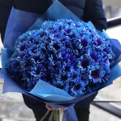 29 синих кустовых хризантем в букете за 9 090 руб. | Бесплатная доставка  цветов по Москве