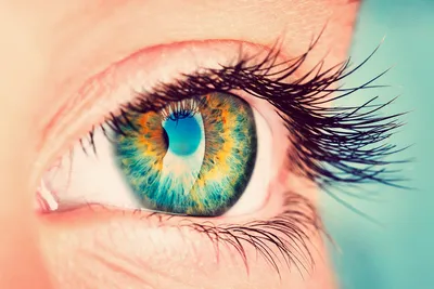 Голубые линзы на зеленые глаза фото фото