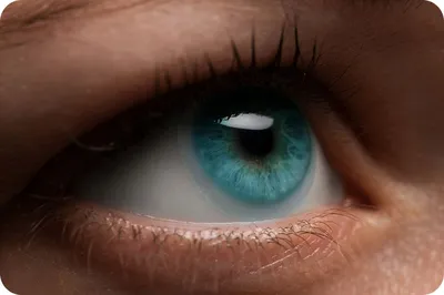 Зеленые глаза и цветные линзы«Optic Land®» Интернет-магазин оптики и  контактной коррекции