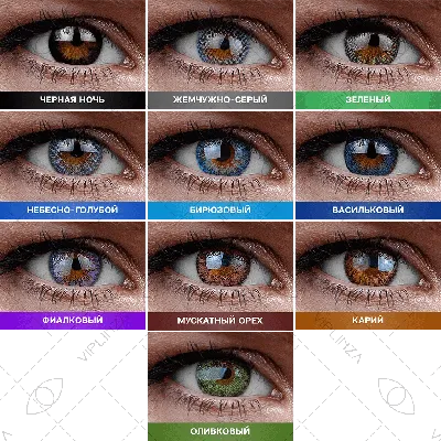 Цветные линзы для глаз: все цвета радужки | Интернет-магазин линз для глаз  в Санкт-Петербурге