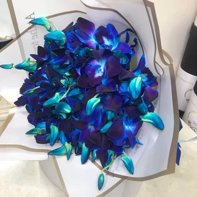 Купить 23 синие орхидеи в коробке по доступной цене с доставкой в Москве и  области в интернет-магазине Город Букетов
