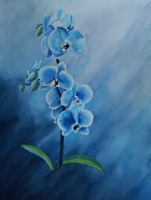 Купить картину Голубые орхидеи 2 – Из трех частей в Киеве, доступная цена в  Украине: фото, описание | Интернет-галерея «Print4you»