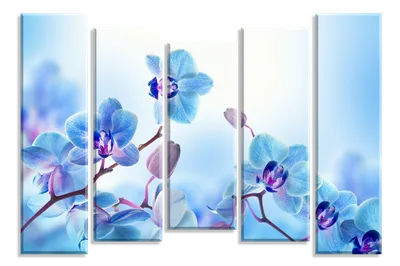 Голубые орхидеи с сливовой серединкой…» — создано в Шедевруме